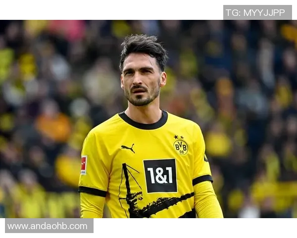 德国队多特蒙德足球明星的辉煌历程与未来展望