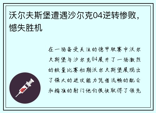 沃尔夫斯堡遭遇沙尔克04逆转惨败，憾失胜机