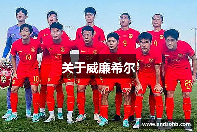 关于威廉希尔